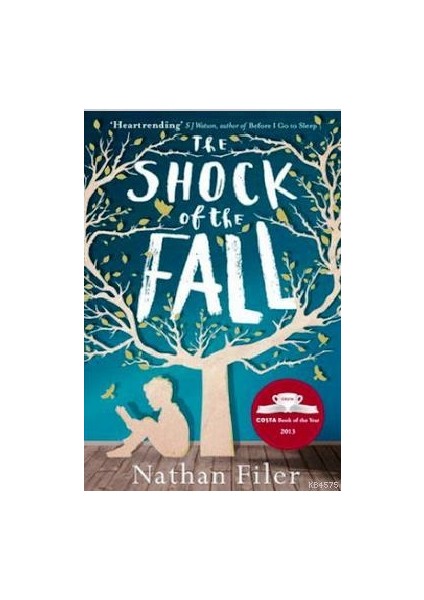 The Shock Of The Fall - Nathan Filer