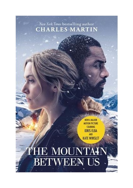 The Mountain Between Us - Charles Martin