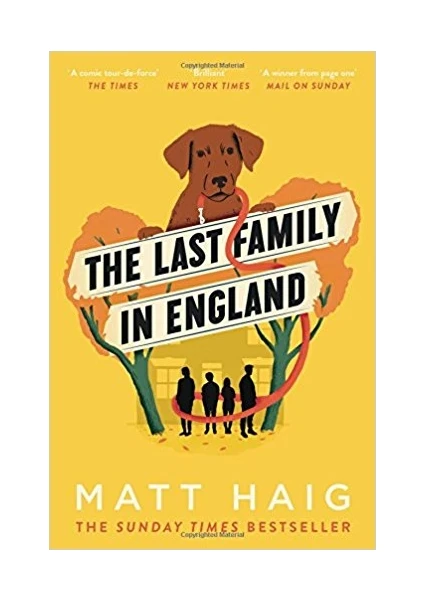 The Last Family In England  - Matt Haig