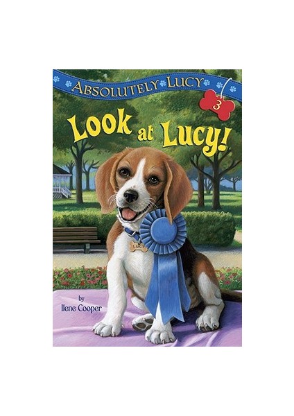 Absolutely Lucy: Look At Lucy (Stepping Stones) - Ilene Cooper