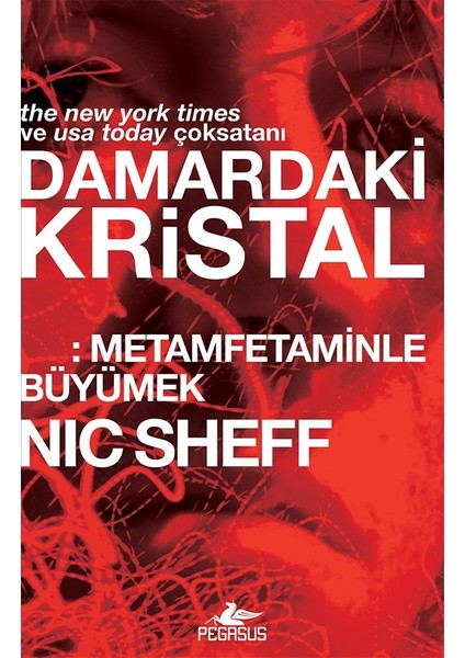 Damardaki Kristal: Metamfetaminle Büyümek - Nic Sheff