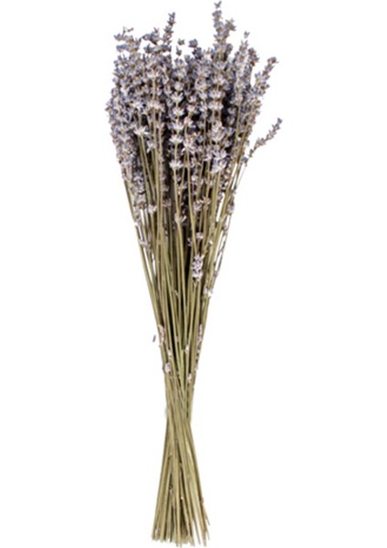 Kuru Çiçek Lavanta Demet 40 cm PNR-45958