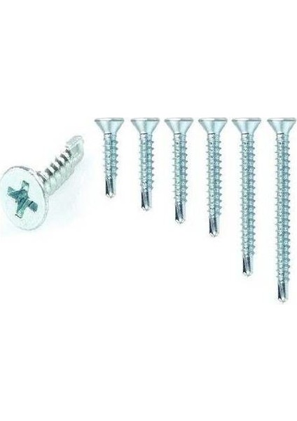 Meri̇dyen 3.9x19 mm Matkap Uçlu Akıllı Vi̇da 100'lü