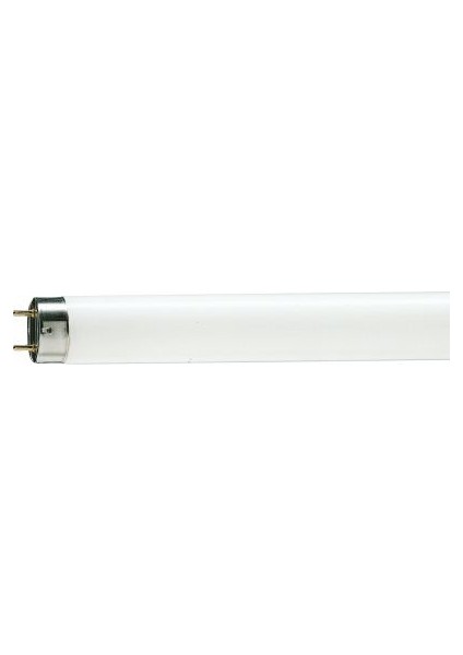 Tl-D 36W Snow White Tr 1Sl25