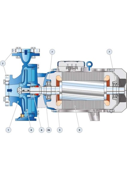 F 80/200A Flanşlı Santrifüj Pompa 50 HP