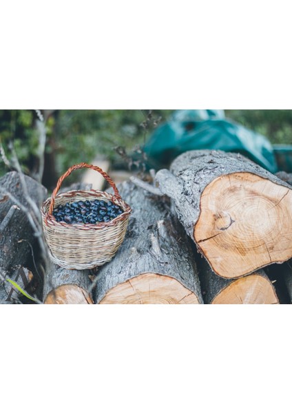 Atilla Zeytin 231-260 Kalibre (Süper Mega) 10 kg