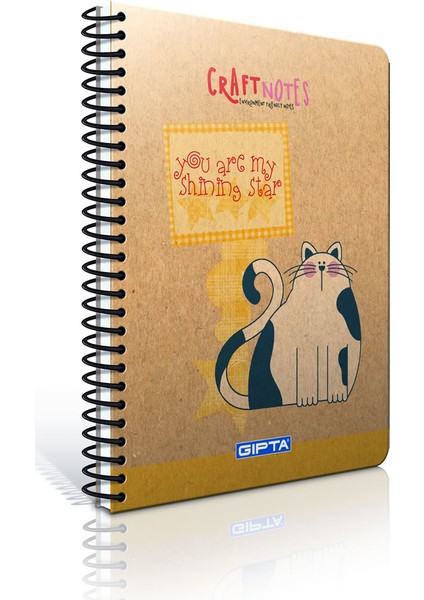 Craft Spiralli Sert Kapak Defter A6-100 Yp.Çizgili (Stand)