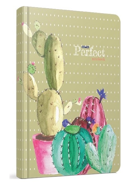 Perfect İp.Dikişli Sert Kapak Defter 13X21-120 Yp Çizgili-Stn