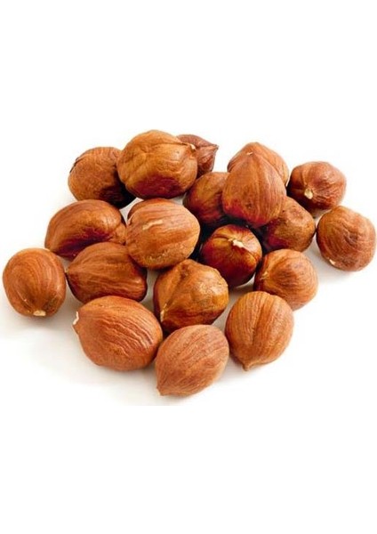 Çiğ Fınıdık 1kg modelleri