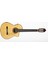Elektro Klasik Gitar Ladin Kapak Fıshman Pro Blend 1