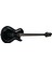 Elektro Gitar, Siyah, Seymour Duncan (H-H) 1