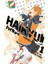 Haikyu!! 1 - Haruichi Furudate 1