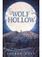 Wolf Hollow - Lauren Wolk 1