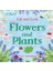 Lift And Look: Flowers And Plants - Tracy Cottingham 1