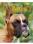 Training Your Boxer - Joan Hustace Walker 1