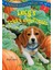 Absolutely Lucy: Lucy's Tricks and Treats - Ilene Cooper 1