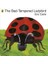 The Bad-Tempered Ladybird - Eric Carle 1