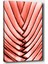 Çiçek Kanvas Tablo 70 x 100 cm 1