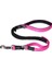 Köpek Uzatma Kontrollü Pembe Medium 16 Mm 140 Cm 1