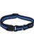 Küçük Irk Köpek Boyun Tasması Mavi Small 11 Mm 20-31 Cm 1