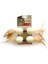 Kedi Oyuncak Halter 24*4,5*4,5 Cm 1