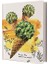 Cactus Ice Cream Sert Kapak Not Defter Çizgili 1