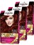 Deluxe 5-889 Şarap Kızılı x 3 Adet 1