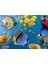 Animal Planet | Underwater 2