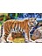 KS Games Animal Planet | Amazing Tiger 2