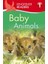 Kingfisher Readers: Baby Animals  - Thea Feldman 1