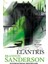 Elantris - Brandon Sanderson 1