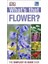 What's That Flower  - Dorling Kindersley 1