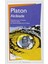 Alcibiade - Platon 1