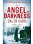 The Angel Of Darkness - Caleb Carr 1