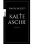 Kalteasche - Simon Beckett 1