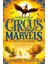 The Gold Thief (Ned's Circus Of Marvels 2) - Justin Fisher 1