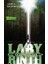 Die Auserwahlten: Im Labryinth (Buch 1) - James Dashner 1