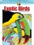 Creative Haven Exotic Birds Coloring Book - Ruth Soffer 1