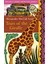 Tears Of The Giraffe - Alexander McCall Smith 1