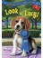 Absolutely Lucy: Look At Lucy (Stepping Stones) - Ilene Cooper 1