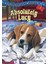 Absolutely Lucy (Stepping Stones) - Ilene Cooper 1