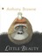 Little Beauty - Anthony Browne 1