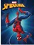 Spider-Man A5 40 Yp.Kareli PP Kp.Dikişli Defter 1