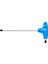 T Saplı Torx Allen Anahtar T30 1