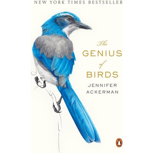 The Genius of Birds by Jennifer Ackerman The Genius of Birds by Jennifer Ackerman