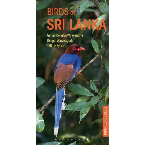 Birds Of Sri Lanka Gehan De Silva Wijeyeratne Kitabı Ve Fiyatı 