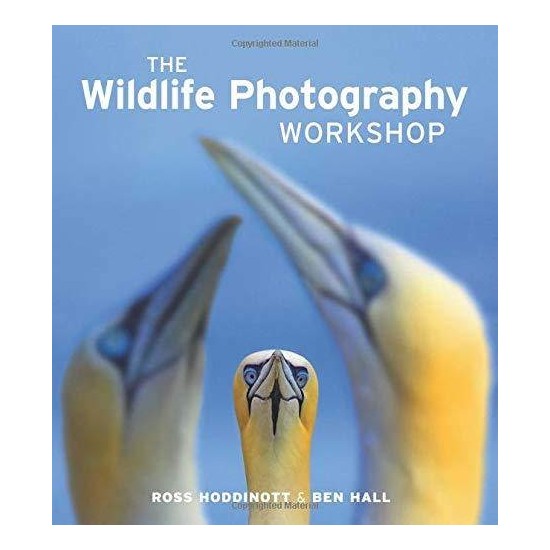 Wildlife Photography Workshop - Ross Hoddinott