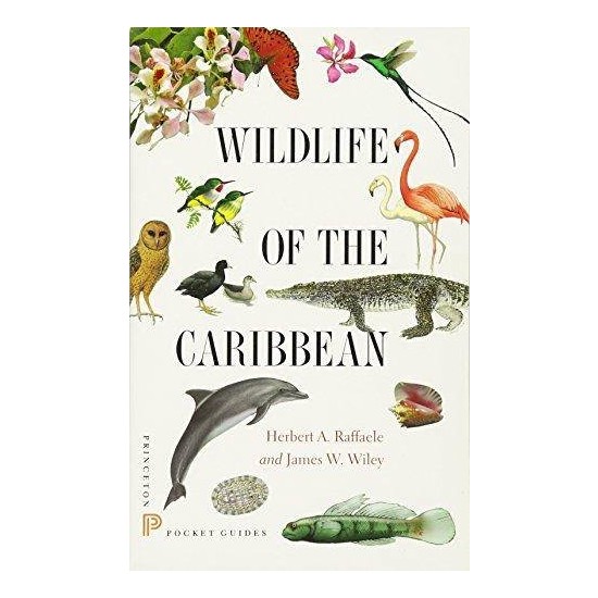Wildlife Of The Caribbian - Herbert Raffaele