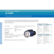 Lowara Ca 200/33/N/D Çift Kademeli Santrifüj Pompa N Versiyon