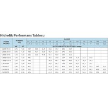 Lowara Ca 200/33/N/D Çift Kademeli Santrifüj Pompa N Versiyon